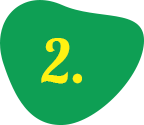 Hoa Đẹp Quanh Năm